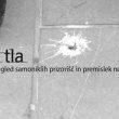 Na trdna tla